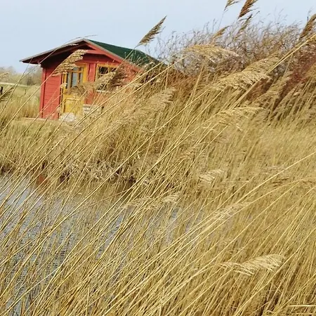 Apartmán Ferien Am Biotop Rodenäs