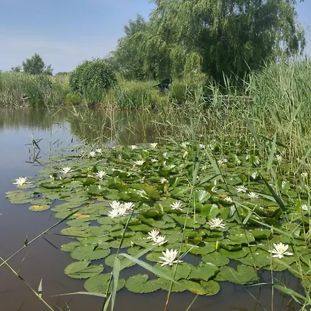 Ferien Am Biotop Rodenas