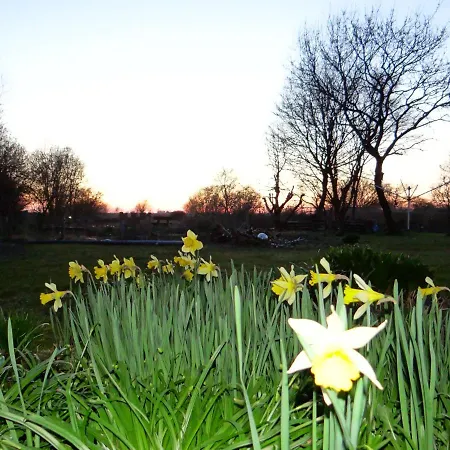 Ferien Am Biotop Apartament Rodenäs