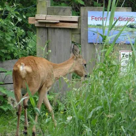 Ferien Am Biotop Appartement *
