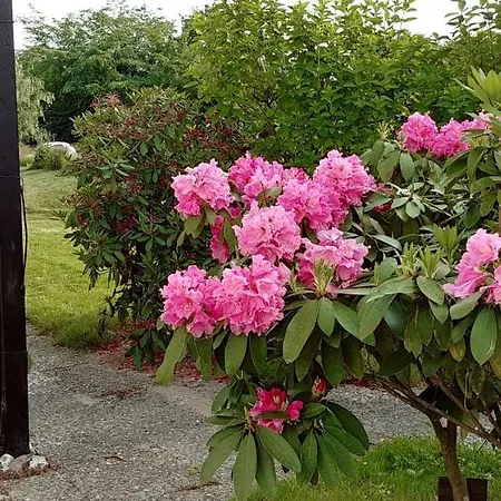 Ferien Am Biotop * Rodenäs