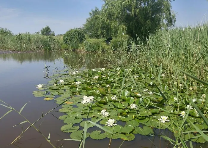 Ferien Am Biotop Rodenäs