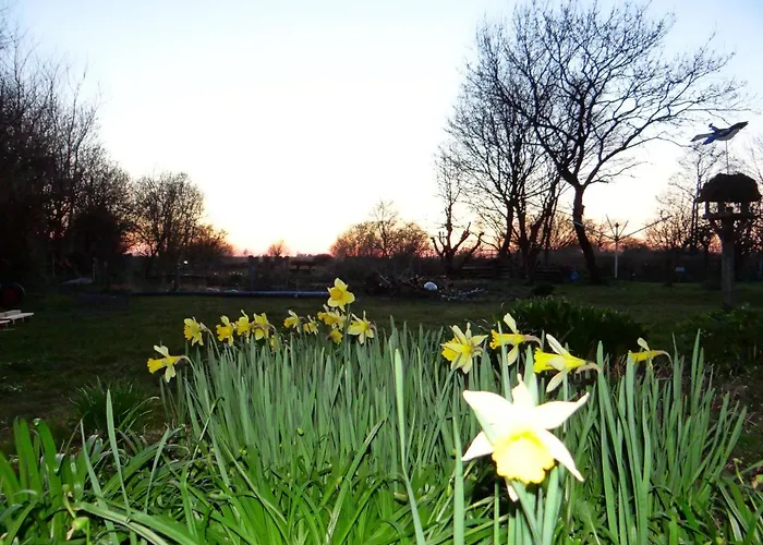 Ferien Am Biotop Appartamento Rodenäs