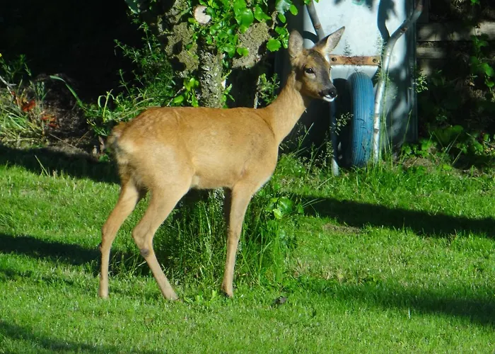 Appartamento Ferien Am Biotop *