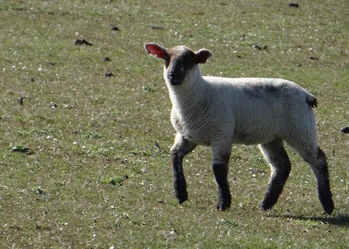 Ferien Am Biotop * Rodenäs