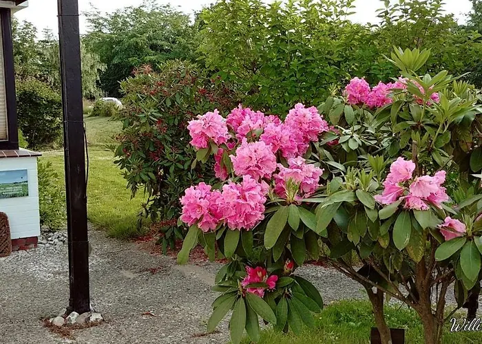 Ferien Am Biotop * Rodenäs