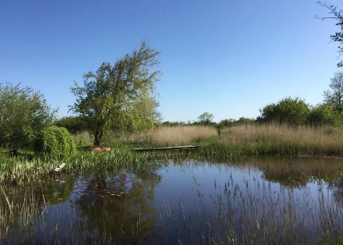 Ferien Am Biotop Appartamento